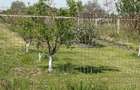 Vanzare teren 4000 mp Ulmi- Dambovita - 6