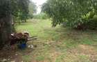 Teren Calea Bucuresti+constructie - 2