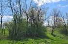 Teren de vanzare , Stalpeni Arges - 3