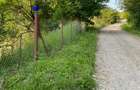 Teren 5000mp cu casa veche ?i fantana, 3km de Sta?iunea Sacelu - ideal casa de vacanta - 2