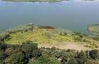 Teren 2404 mp la Lacul Murani langa padure concept Green and Blue - 4