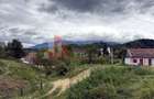 Teren de investiție în Moieciu, lângă Castelul Bran – 11.381 mp, vedere Bucegi