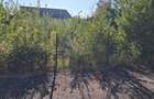 Vand teren Corbeanca Laguna Albastra 624mp 85000 Euro - 1