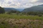Teren intravilan 2.234 mp Slatina, Nucsoara, Arges Acces la drum