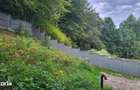 Casa in Cheia - Prahova -50km Brasov, 5 apartamente