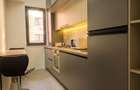 Apt 2 cam premium + Solid Residence Dezrobirii
