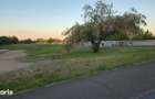 Proprietar / Apartament 3 camere decomandat Faleza Sud / Alfa - 1