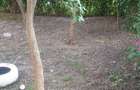 Apartament 2 camere / parter / bl Seuca - 6