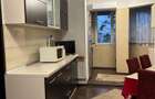 Ap 2 cam tip D et 1 Calea Aradului,renovat,mobilat,utilat,ocupabil - 14
