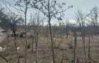 Vand teren in localitatea Blanzi Jud Galati - 1