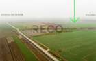 RECO Teren extravilan 5800 mp Livada de Bihor - 5