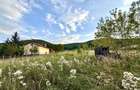 Comision 0% Teren intravilan construibil | 2848mp | Front 17m | Gilau - 6
