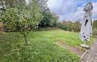 AA/331 De inchiriat casa singur in curte in Tg Mure? - Tudor - 6