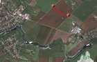 Oferim spre vanzare 6 loturi de teren extravilan (agricol) in Petrachioaia ILFOV - 18