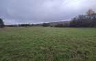Teren intravilan in Padureni - Chinteni, 3200 mp, intre case - 3