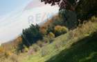 Teren ideal pentru glamping in Vladeni, aproape de Bra?ov - 7