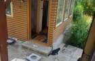 Casă cu 4 camere în Provița de Jos - 5
