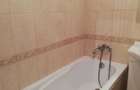 Pers. fizica apartament 1 camera dec 42 mp Bucium 300 euro - 7