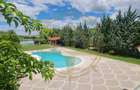 Dom00444 - vila luxurianta la lac cu ponton si casa de barca snagov - 18