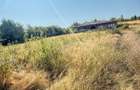 ZONA CASTEL TRANSILVANIA -str. VRANCEI -casa parter la rosu cu teren 1678mp! - 3