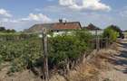 Casa cu teren 900 mp in Cheresig - 4
