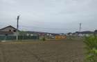 teren Sendreni 800 mp - 7