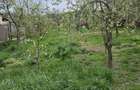 Intravilan in zona superba de deal- accept si schimb - 2