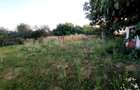 CASĂ DE VÂNZARE | 1.483 MP TEREN | ARICEȘTII RAHTIVANI | 55.000 euro - 11