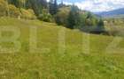 Teren intravilan, 7.362 mp, zona Vatra Dornei
