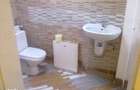 500 euro/luna dau in chirie Spatiu Comercial Ultracentral 40 mp - 12