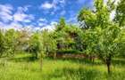 Casa 3 camere si teren 4873 mp in Pietroasa, Moldovenesti - 6