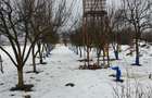 Ofer spre vanzare teren extravilan, str. Ratul Mare - 5