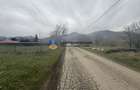 Teren 1200 mp Vadurele - comuna Alexandru cel Bun , cu utilitati - 6
