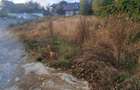 Teren intravilan de vanzare in Feleacu