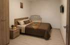 2 camere, Casa de Cultura, parter, 39mp, centrala gaz, A/C, mobilat ut - 8