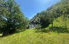 Casa de vacanta 98 mp| 25.000 mp teren| zona Valea Vintului - 1