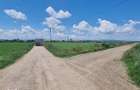 Teren Lunca Siret 2.75 Ha - 7