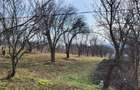 Teren Intravilan 43Ari zona Ortelec-Zalau intre case 4800eur/ar - 4