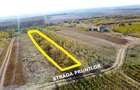VIDEO | Teren intravilan cu livada – 1.000 m² in Ardud-Vii, cu view spectaculos!