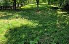 Vand teren intravilan - 3