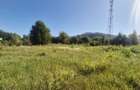 Teren Intravilan, 1000 mp, Vaduri - 1