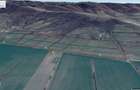 Lot compact 18,57 HA , vita de vie nobila pe rod - 6