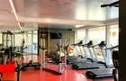 Penthouse 3 camere camere Piata Victoriei - 4