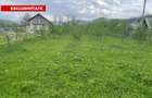 Teren Intravilan 12500 mp Drajna de Sus - Teisani. - 1