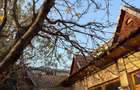 Casă cu Teren 2522 Mp în Cerna - 2