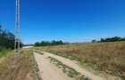 vand teren intravilan Malu Mare 1500 mp - strada Salcamilor - 1