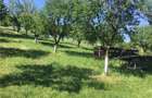 Teren intravilan Oradea - 1
