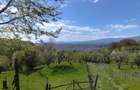 Teren de 3800 mp, în Mioarele - 3