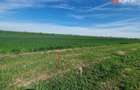 Teren extravilan de 9500 mp de vanzare in Remetea Mare - 1