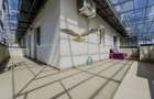 Mini penthouse modern cu terasa superba|Mihai Romanul/Buna Ziua - 7